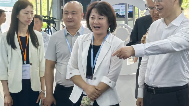 车载吸尘器家用哪款好